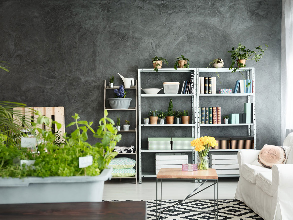 Renovated studio
